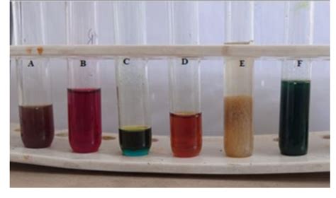 estimation of alkaloids by gravimetric method|Phytochemical analysis and evaluation of leaf and root parts of .